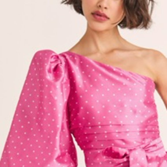 NWT Altie Dress Hot Pink Cherry by LoveShackFancy - Picture 3 of 5